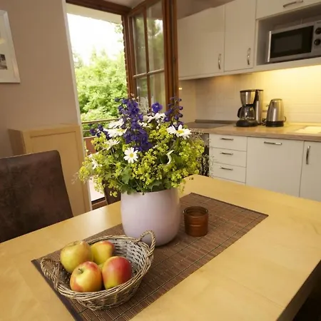 公寓 Haus Am Kurpark 4 沙博伊茨